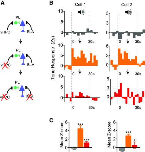 Examples Of Interaction Between Vhpc And Bla Inputs Within Single Pl