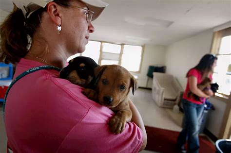 Puppy Found Locked In Sweltering Texas Storage Unit Ex Nfl Player