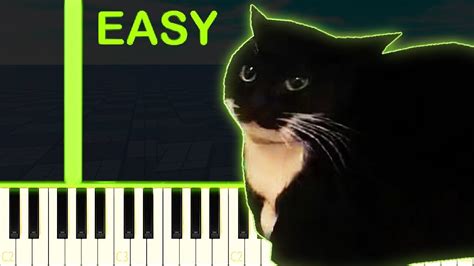 MAXWELL THE CAT MEME SONG EASY Piano Tutorial YouTube