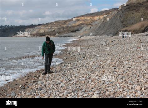 fossil hunting on Charmouth beach Stock Photo - Alamy