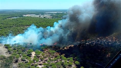 Incendio De Bonares Huelva Los Efectivos Que Intentan Extinguir El Fuego