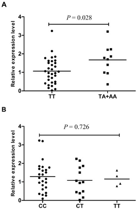 Expression Of RKIP In Cancer Adjacent Normal Renal Tissues A