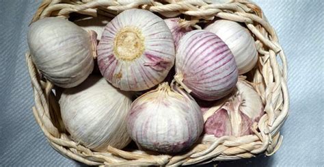 manfaat  khasiat bawang putih tunggal tokopedia blog