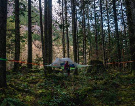 3 Reasons a Tree Tent Will Make This the Best Camping Season Yet – Tentsile