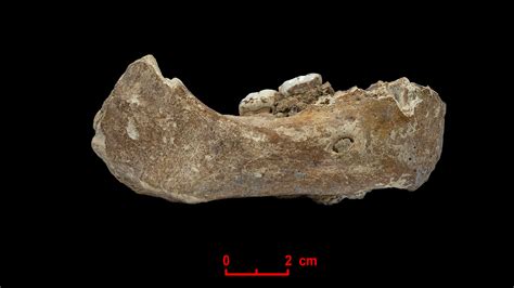 2020 | Study confirms Denisovan presence on ‘the roof of the world ...