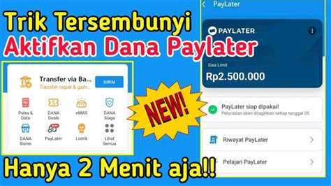 Terbaru Cara Aktifkan Dana Paylater Dengan Cepat Pinjam Uang