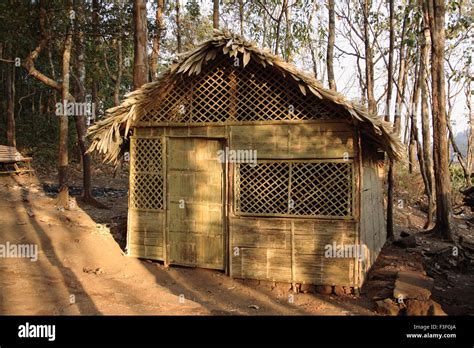 Bamboo Hut Or Cottage In Forest Kerala India Asia Stock Photo Alamy