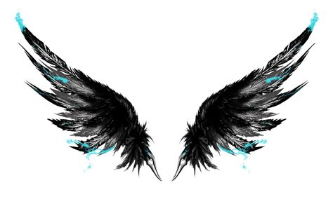 Black Wings Png Picture Png All