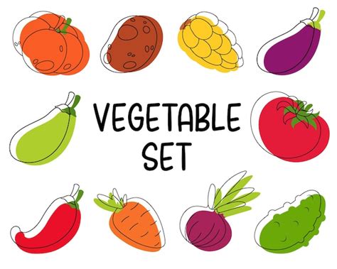 Premium Vector Set Of Drawing Vegetables Outline And Paint Potato