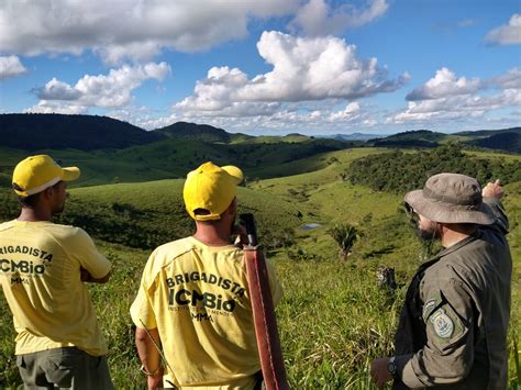 Esec de Murici reconecta fauna e flora em corredor ecológico Mato