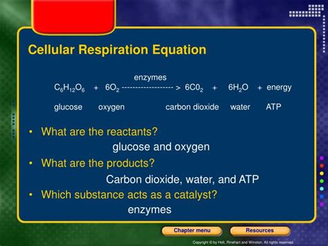 What Are The Reactants In The Equation For Cellular Respiration Spice Of Lyfe Chemical