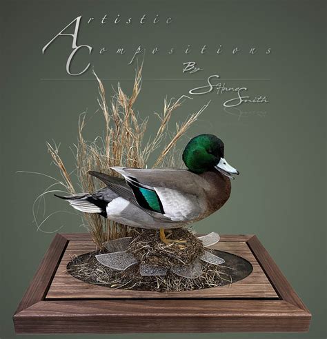 Waterfowl Taxidermy Habitat Scenes Waterfowl Taxidermy Upland Taxidermy Duck