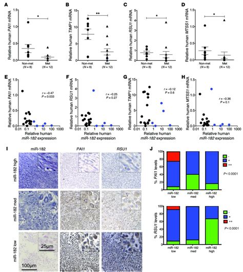 Microrna Drives Metastasis Of Primary Sarcomas By Targeting