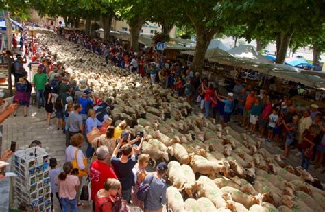 La Me F Te De La Transhumance A Anim Riez