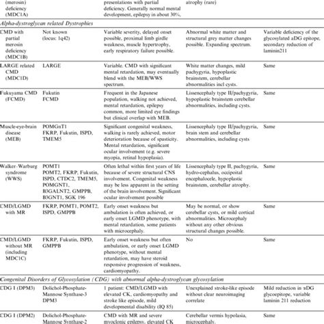 AD Differential Diagnostic Considerations For Various Clinical