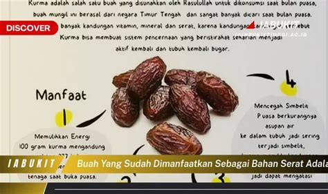 Jajaran Buah Yang Sudah Dimanfaatkan Sebagai Bahan Serat Bikin