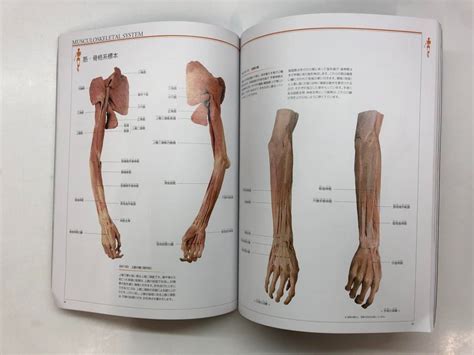 Yahooオークション 【図録 人体の不思議展 Mysteries Of The Human