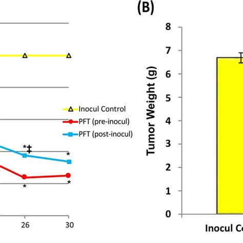 In Vivo Effect Of PFT On Tumor Growth A Tumor Volume TV Was