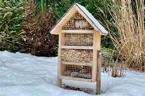 Insektenhotel Bauen Kostenlose Bauanleitung