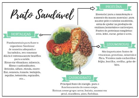 Prato Saud Vel Nutri Alimenta O