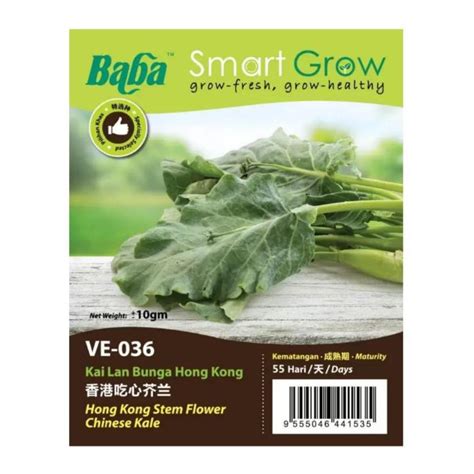 Baba Smart Grow Seeds Ve Hong Kong Stem Flower Chinese Kale Kailan