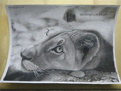 Lion Art Free Photo On Pixabay