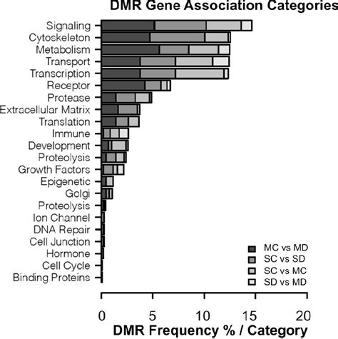 Figure From Transgenerational Sperm Dmrs Escape Dna Methylation