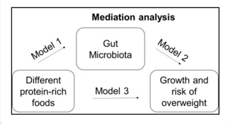 Mediation Analysis Download Scientific Diagram