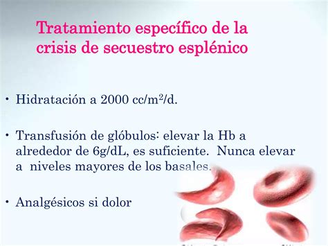 Anemia Drepanocítica PPT