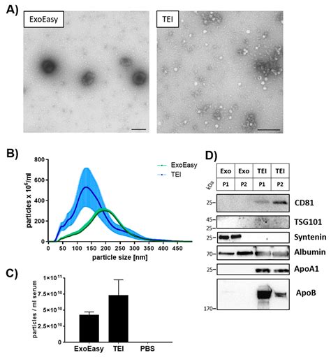 Biomolecules Free Full Text Non Invasive Approach For Evaluation Of