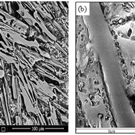 A And B Sem Micrographs Show The Microstructure Of High Cr White Download Scientific