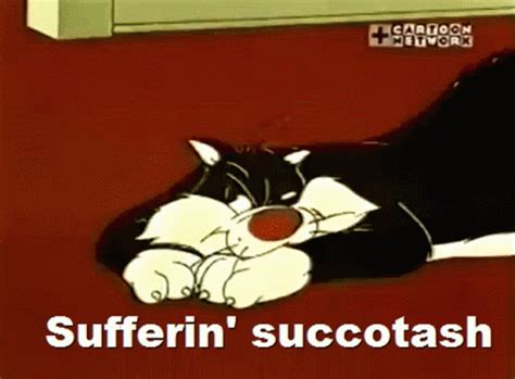 Sylvester Cat GIF - Sylvester Cat Funny - Discover & Share GIFs