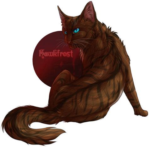 10 Dark Forest cats ideas | forest cat, cats, dark forest