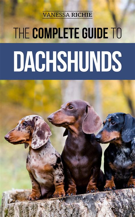 The Complete Guide to Dachshunds: Finding, Feeding, Training, Caring For, Socializing, and