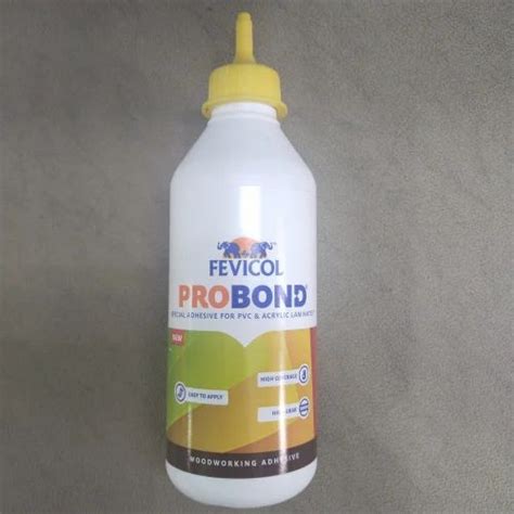 500gm Fevicol Wood Probond At Rs 237piece Fevicol Adhesive In