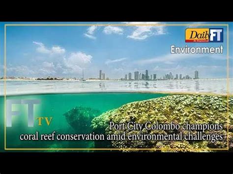 Port City Colombo Champions Coral Reef Conservation Amid Environmental