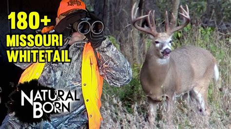 Whitetail Buck In December Natural Born Youtube