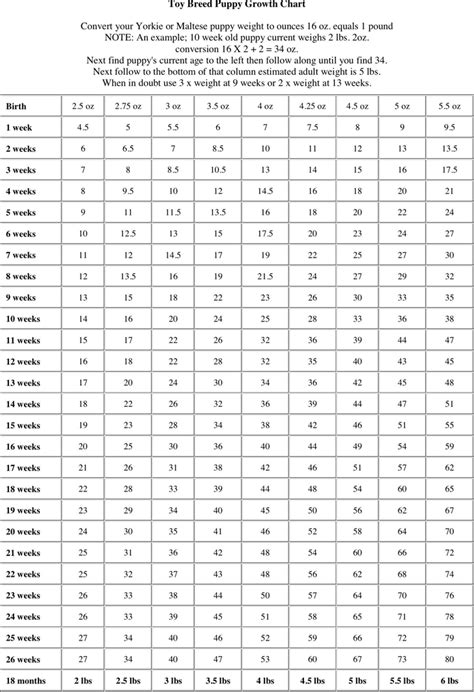 Puppy Growth Chart - Template Free Download | Speedy Template