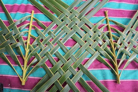 Coconut Palm Weaving Dilly Bag Fruit Bowl Taro Basket Palm Leaf Baskets Palm Leaf Art