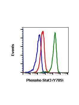 Phospho Stat Y Recombinant Mab Abwiz Bio