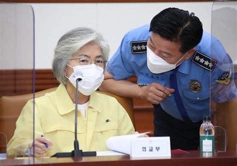 강경화 오늘 G20 화상 특별 외교장관 회의필수 인력 이동 강조 네이트 뉴스