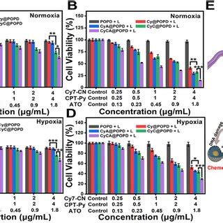 In Vitro Cytotoxicity Of Cyca Popd By Synergistic Therapy A The Cell