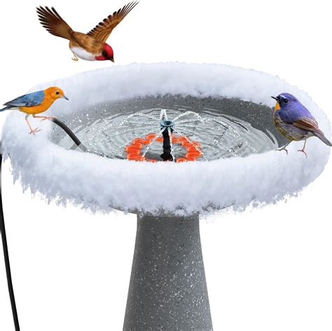 Amazon Ikuchelife Bird Bath Heater For Outdoors With Water Pump