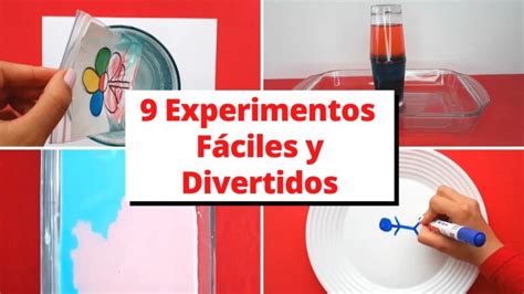 10 experimentos de ciencia para niños divertidos y fáciles