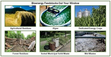 Biomass Feedstocks Department Of Energy