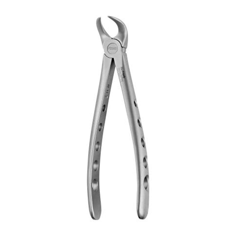 23 Cowhorn Forceps Lower Molars Atraumair F23xs