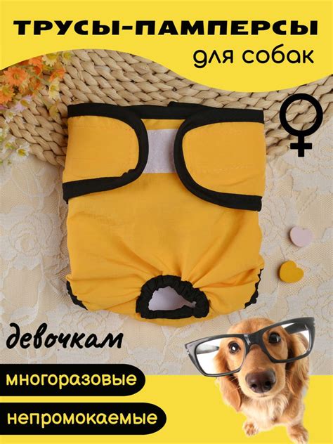 Трусы для собаки во время течки / Памперсы для собак многоразовые ...