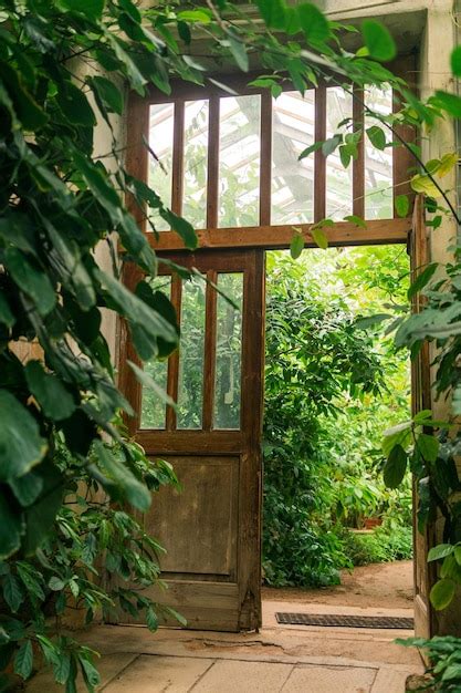 Premium Photo | Interior of an old greenhouse with a collection of ...