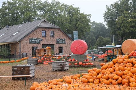 Caroline Bleicken Hof Bartels K Rbis Oktober Cafe Halloween Mais Rade