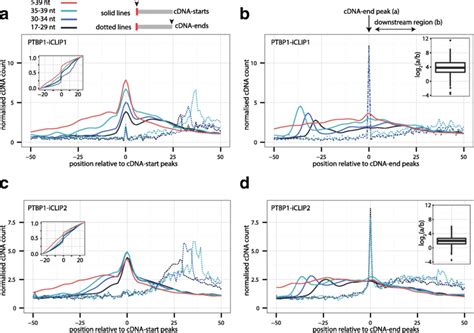 coinciding cdna starts   result  constrained cdna ends